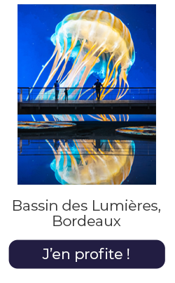 Bassin lumieres bordeaux vente flash fev26