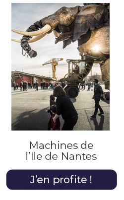 Machine ile nantes vente flash fev26